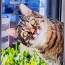 KLtwirK 的头像