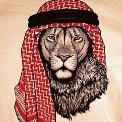 جميد جدآ🇯🇴's profile picture