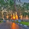 Abd Elhameed Elsegini 的头像