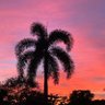 Фото профиля Lynn Thompson