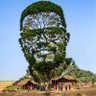Mokala profil fotoğrafı