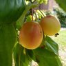 Фото профиля Mr. Prids