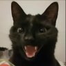 woahh profil fotoğrafı