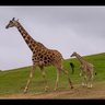 Фото профиля Nature is Beautiful