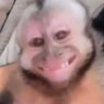 abracadabra hit solo's profile picture