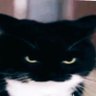 Fines's profile picture
