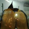 amatsu's profile picture