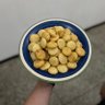 dg 的头像