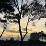 paulo pinto profil fotoğrafı