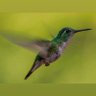 Sathie profil fotoğrafı