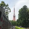 Фото профиля しゅうくん