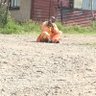 🇿🇦Mehl'Enyoka☠️🐍 profil fotoğrafı