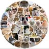 Фото профиля Az Si Pencinta Kucing