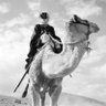 Profilbild von ناصر