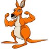 Фото профиля Aussie plumber