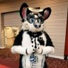 Фото профиля 🏳️‍⚧️ Ross the Angel Husky 😇