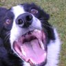 Profilbild von GoochMouthActual