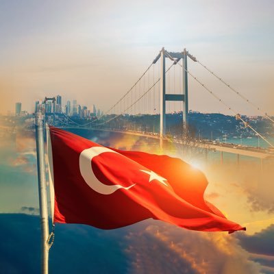TurkiyePD's profile picture
