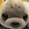 Profilbild von まる。