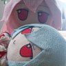 XindonMaestro's profile picture