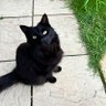 Movielover 的头像