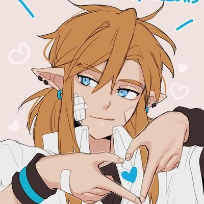 Link Wild's profile picture
