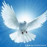 عبدالحميد مرحيل profil fotoğrafı