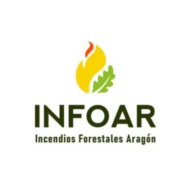INFOAR's profile picture