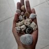 Eri_Jan's profile picture