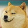 Alan's profile picture