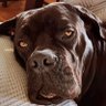 Krzysiek K.(Christopher) profil fotoğrafı