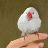 らりるれ太 profil fotoğrafı