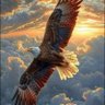 Ravindrakumar's profile picture