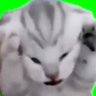Profilbild von ぴーたそ