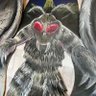 Profilbild von Mothman Follower