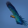 Bird-sanctuary's profile picture