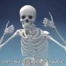 pirate jizzy profil fotoğrafı