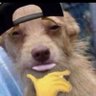 Profilbild von August