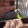 Boo! 🧐🤓😺 profil fotoğrafı