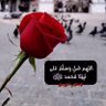 أم عُمر 的头像