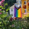 Profilbild von RadicalQueerIre