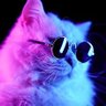 Profilbild von egyga