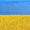 Motorolex 🇺🇸 🇺🇦 的头像