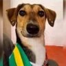 Torcedora 🇧🇷 🍸🖤 profil fotoğrafı