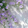 Simple Person 的头像