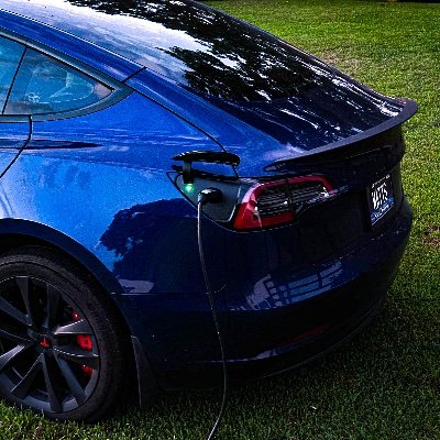 koalafiedtesla's profile picture