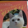 DAN.(だん) 的头像