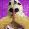 Turd Ferguson's profile picture