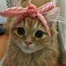 isimsiz profil fotoğrafı