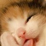 さく 的头像